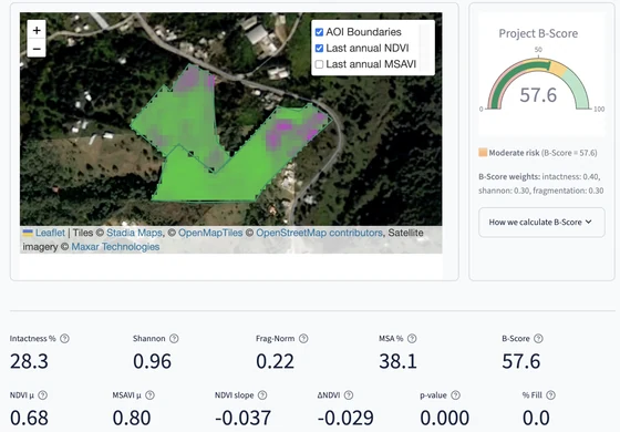 VerdeSat application showing a land area, analysis layers, B-Score and vegetation metrics